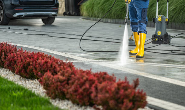 Best Affordable Pressure Washing  in Rancho San Diego, CA
